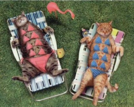 pohoda, klídek a tabáček...jpg